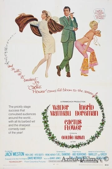 Фильм Цветок кактуса (1969)