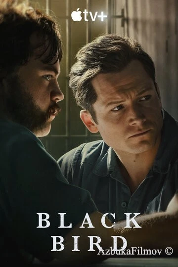 Фильм Чёрная птица (2022)