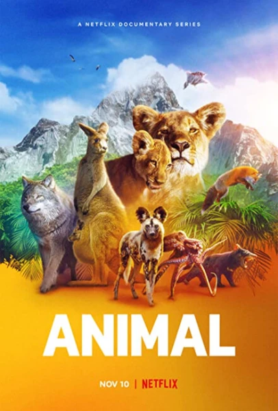 Фильм Удивительные животные (2021)