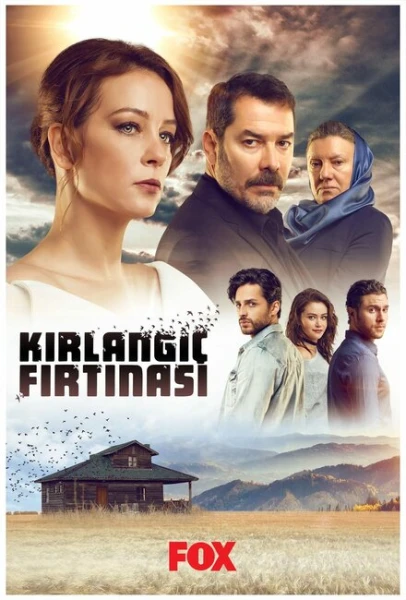 Фильм Шторм ласточки (2017)