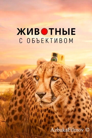 Фильм Животные с объективом (2018)