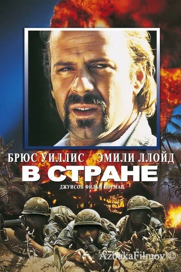 Фильм В стране (1989)