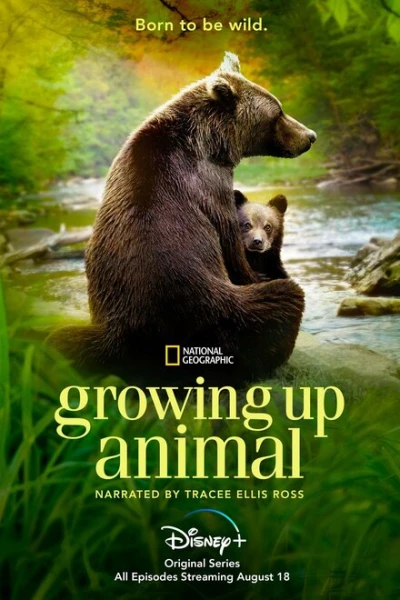 Фильм Взрослеющее животное (2021)