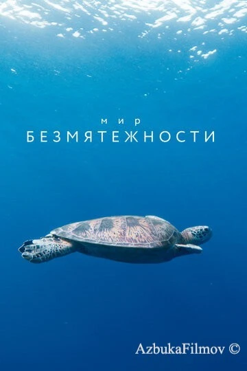 Фильм Мир безмятежности (2020)