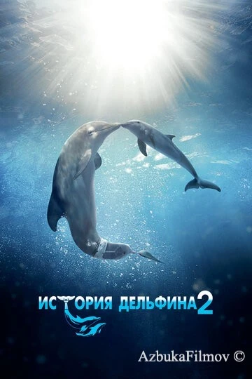 Фильм История дельфина 2 (2014)