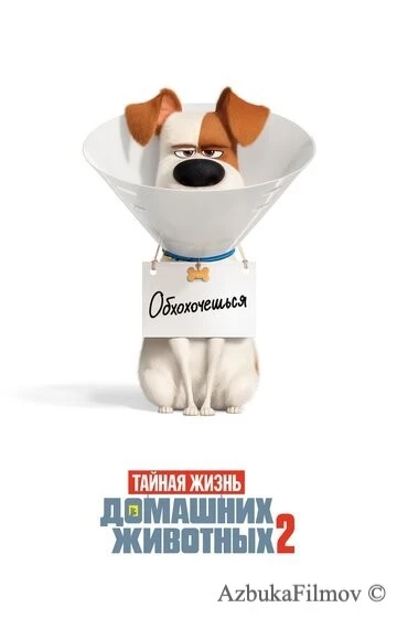 Фильм Тайная жизнь домашних животных 2 (2019)