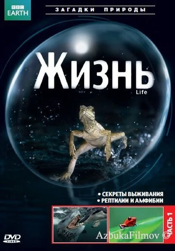 Фильм BBC: Жизнь (2009)