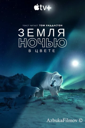 Фильм Земля ночью в цвете (2020)