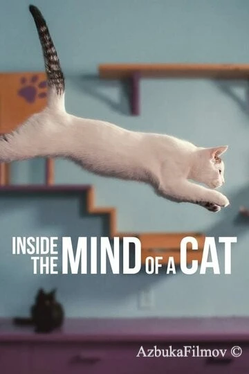 Фильм Внутри разума кошки (2022)
