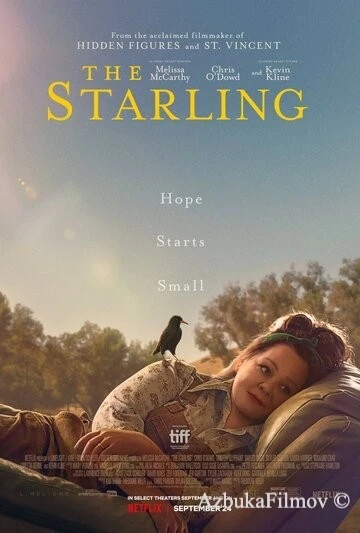 Фильм Скворец (2021)