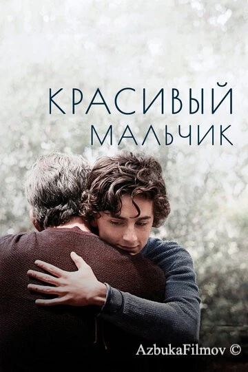 Фильм Красивый мальчик (2018)