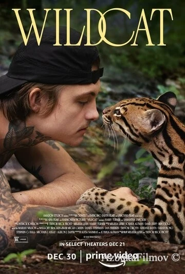 Фильм Дикая кошка (2022)
