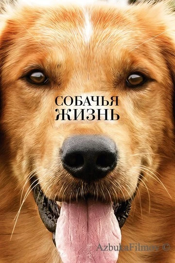 Фильм Собачья жизнь 1 (2017)