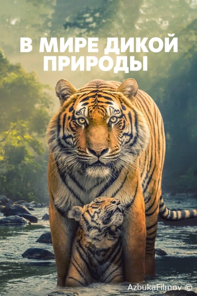 Фильм В мире дикой природы (2025)