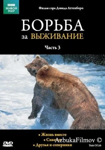 Фильм BBC: Борьба за выживание (1990)
