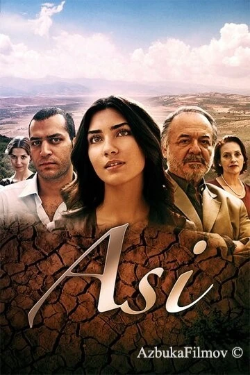 Фильм Аси (2007)