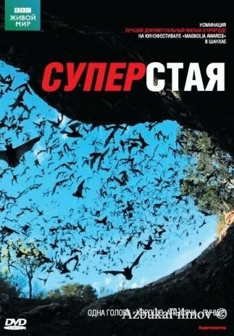 Фильм BBC: Суперстая (2009)