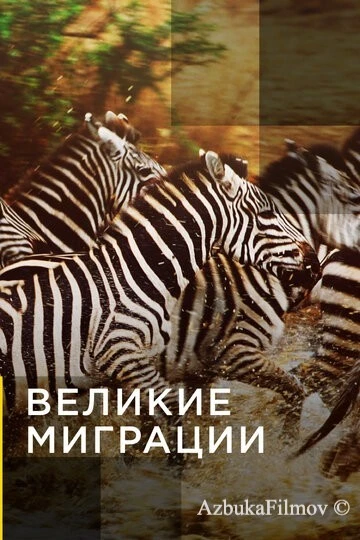 Фильм Великие миграции (2010)