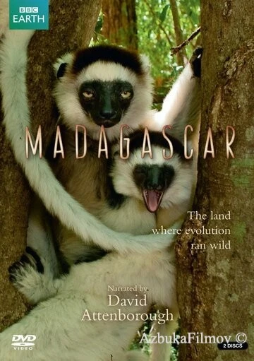 Фильм BBC: Мадагаскар (2011)