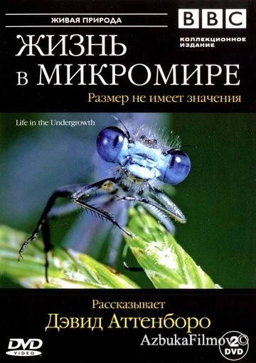 Фильм BBC: Жизнь в микромире (2005)