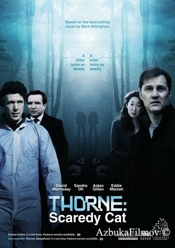 Фильм Торн: Пуганая ворона (2010)
