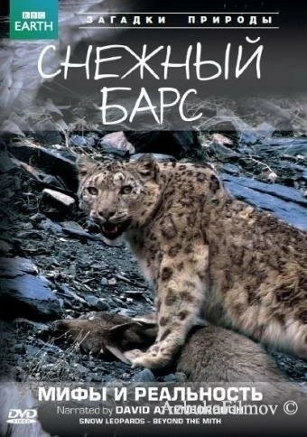 Фильм BBC: Снежный барс: Мифы и реальности (2007)