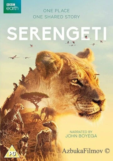 Фильм BBC: Серенгети (2019)