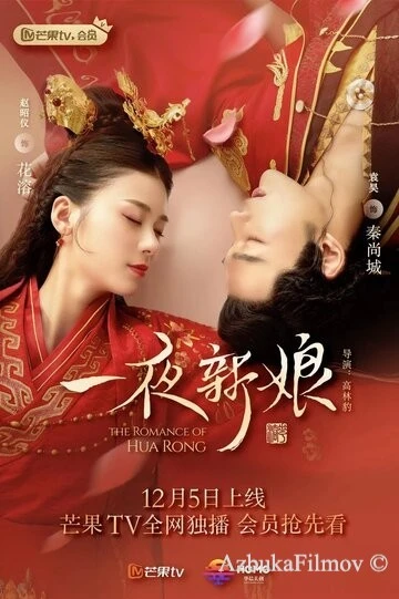 Фильм Невеста на одну ночь (2019)