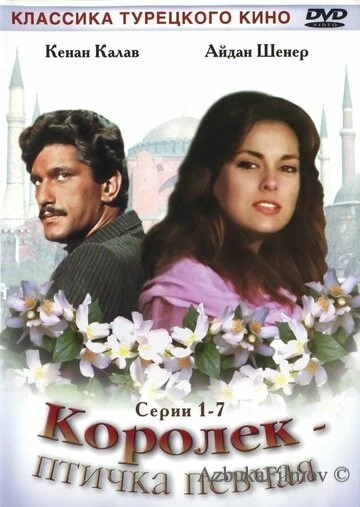 Фильм Королёк – птичка певчая (1986)