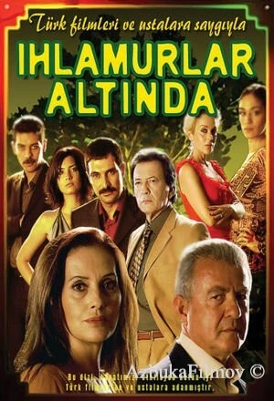 Фильм Под сенью лип (2005)