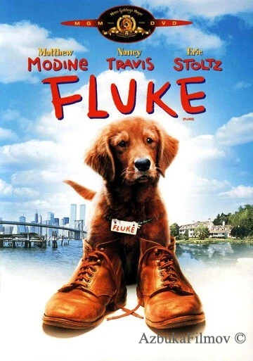 Фильм Флюк (1995)