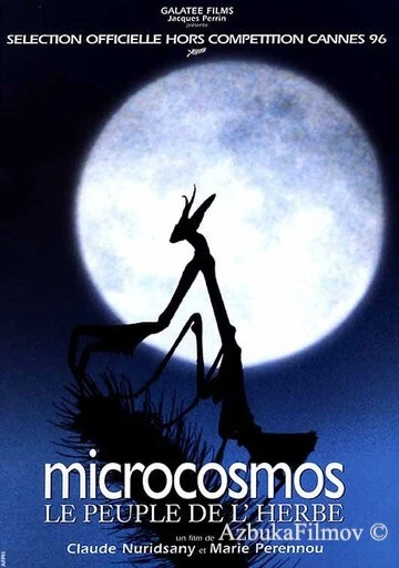 Фильм Микрокосмос (1996)