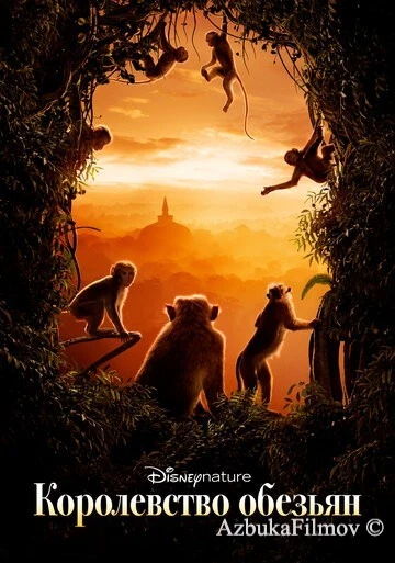 Фильм Королевство обезьян (2015)
