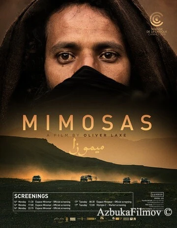Фильм Мимозы (2016)