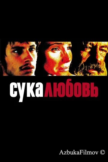 Фильм Сука-любовь (2000)