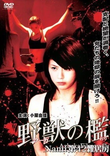 Фильм Бандитки в цепях (2007)