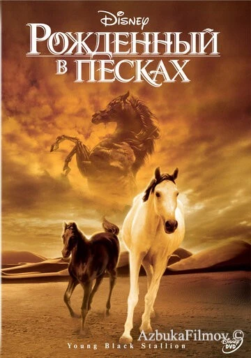 Фильм Рожденный в песках (2003)