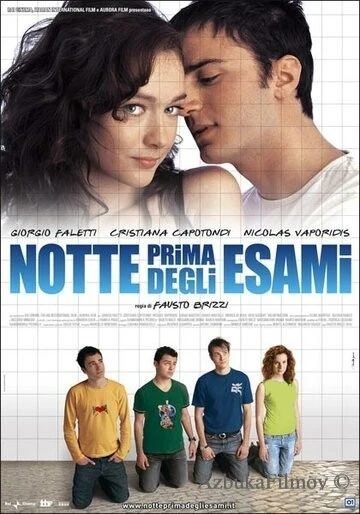 Фильм Ночь накануне экзаменов (2006)
