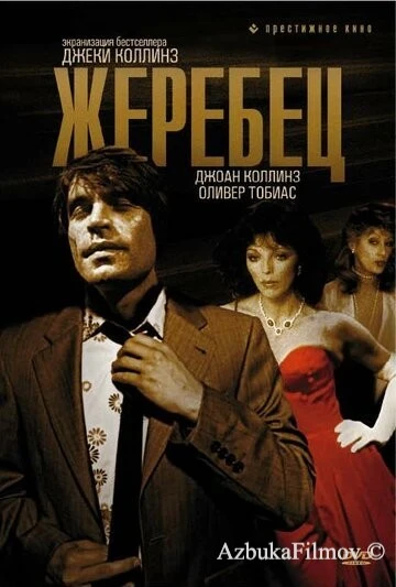 Фильм Жеребец (1978)
