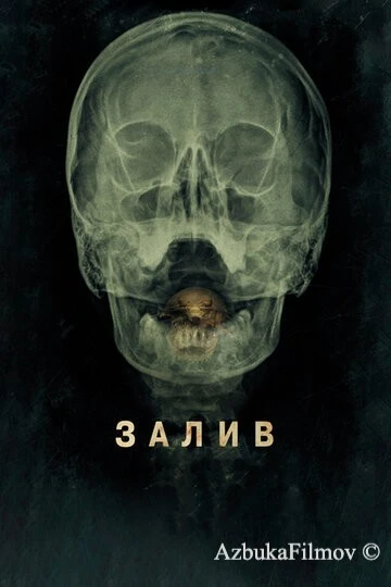 Фильм Залив (2012)