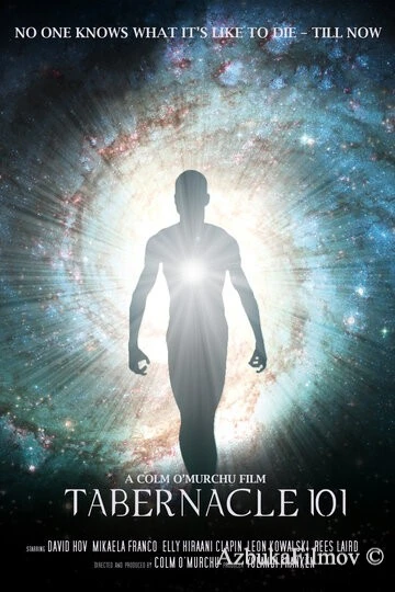 Фильм Скиния 101 (2019)