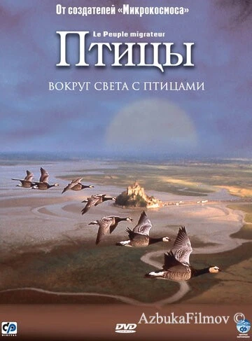 Фильм Птицы (2001)