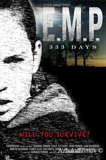 Фильм E.M.P. 333 Days (2018)