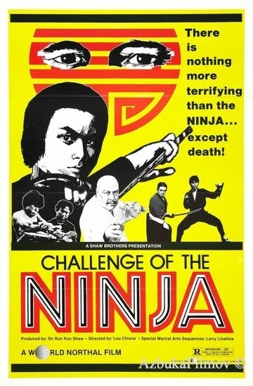 Фильм Шаолинь вызывает ниндзя (1978)