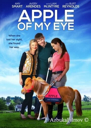 Фильм Зеница ока (2016)