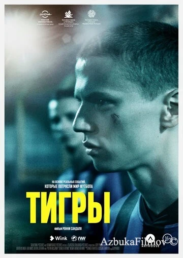 Фильм Тигры (2020)
