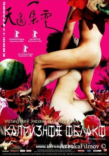 Фильм Капризное облако (2005)