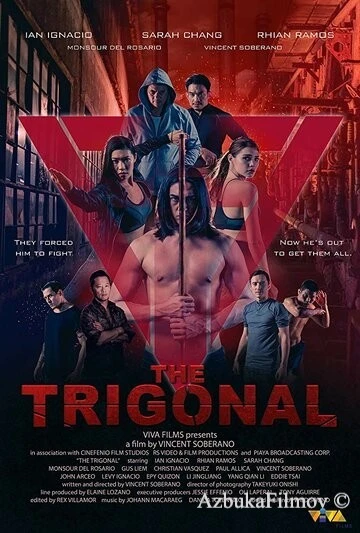 Фильм Тригонал: Борьба за справедливость (2018)