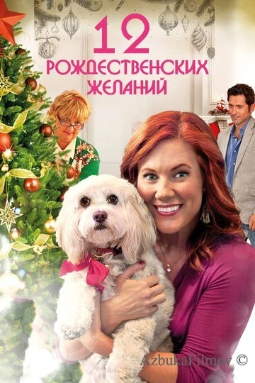 Фильм 12 Рождественских желаний (2011)