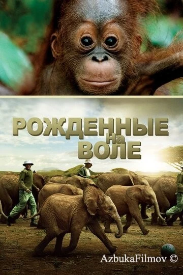 Фильм Рожденные на воле (2011)